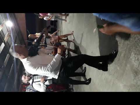 Cornel de la Chiscau