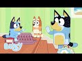 Hotel Bluey Full Episode Bluey