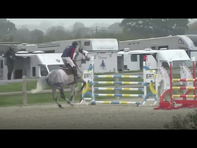 Merrie Zangersheide Te koop 2019 Schimmel ,  Continuum