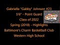 Gabrielle Johnson Basketball Highlights