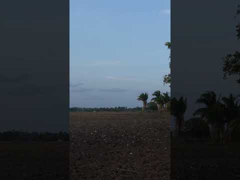 REGIÃO DE CAMPO, SÃO JOÃO BATISTA MA.