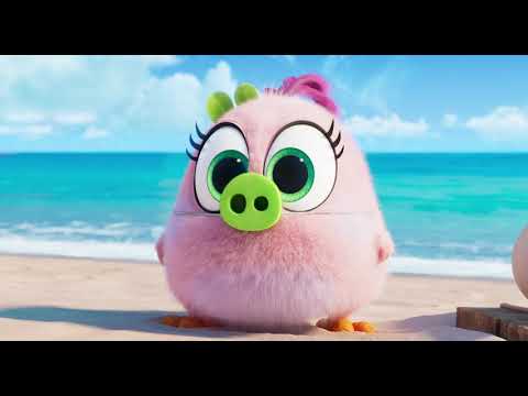 Angry Birds : Copains comme Cochons - Extrait : "Hatchling Eggs" [VF]