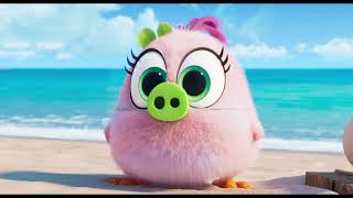 Angry Birds : Copains comme Cochons - Extrait : "Hatchling Eggs" [VF]