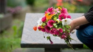 Walk Away While You Can - Amrit Bains