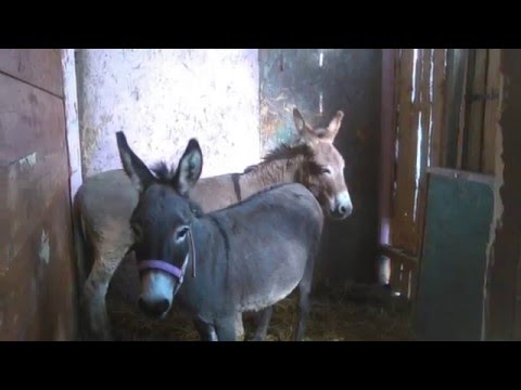 Un anno di Aratorio Familiare-2015