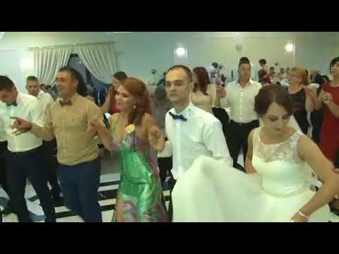 Marius Petrache 2016 Nunta Mioveni Vialucci Hora