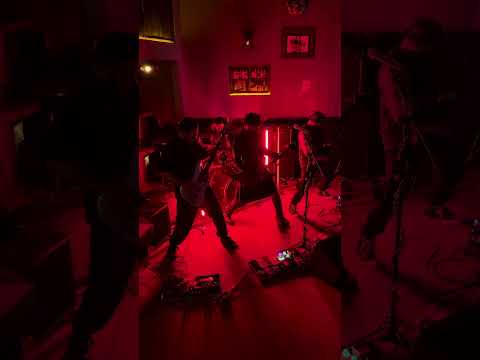 PROLLOGY - MAL live Rock noel 2024