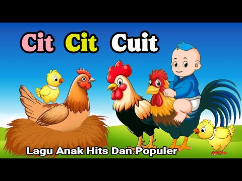 Lagu Anak Anak - Cit Cit Cuit - Aniasi Burung Ayam Bebek Lucu - Lagu Anak Populer