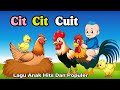 Lagu Anak Anak Cit Cit Cuit Aniasi Burung Ayam Bebek Lucu Lagu Anak Populer