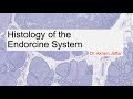 Histology of the endocrine system