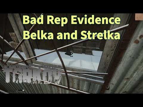 Bad Rep Evidence + Belka and Strelka Quest Guide || Escape From Tarkov
