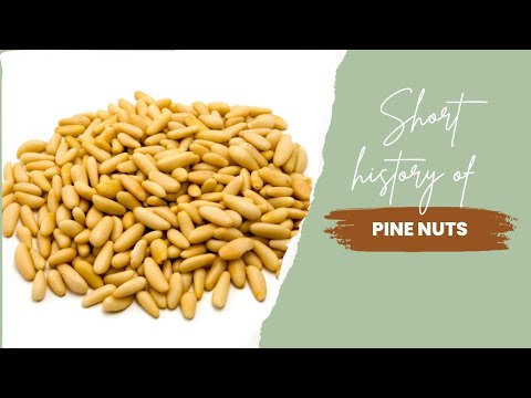 Short history of Pine Nuts