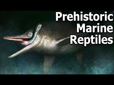 When Prehistoric Marine Reptiles Ruled the Waves | BoneHeads