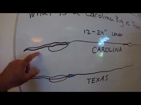 download lagu mp3 mp4 Texas Vs Carolina Rig, download lagu Texas Vs Carolina Rig gratis, unduh video klip Texas Vs Carolina Rig