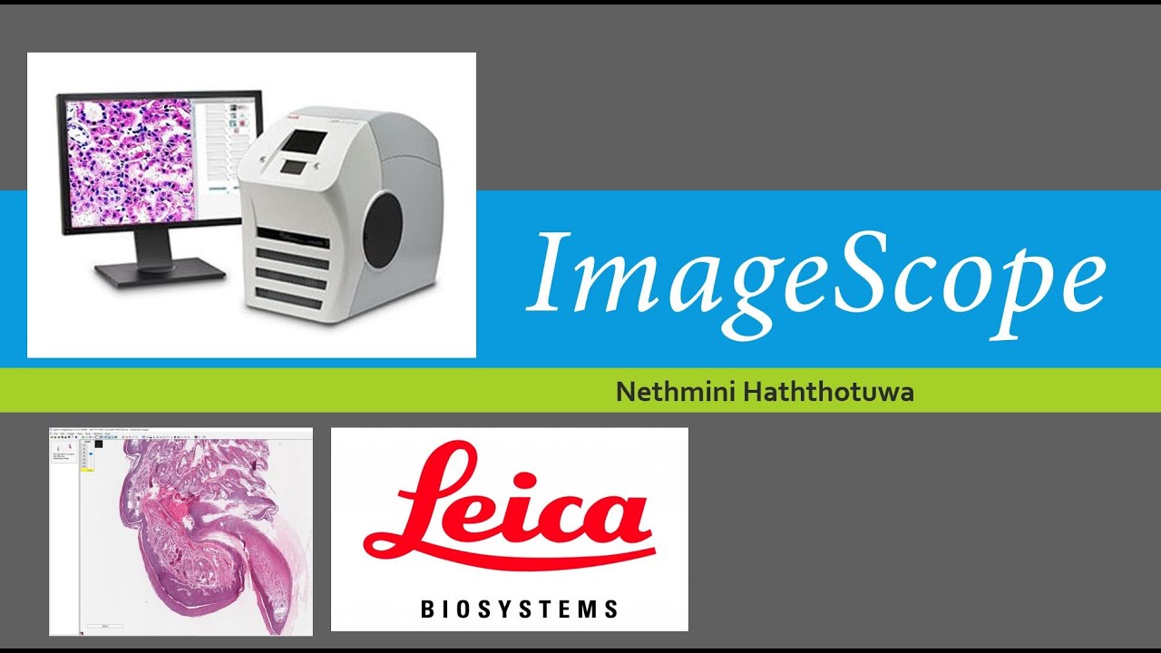 ImageScope-Image analysis software-full guide
