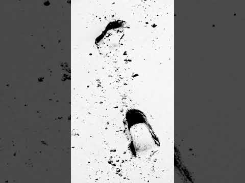 From Instinct to Consciousness: An Emotional Journey in 1 Minute