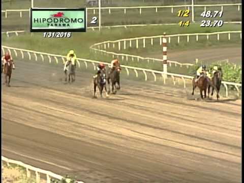 2DA CARRERA DEL DOMINGO 31 DE ENERO DE 2016