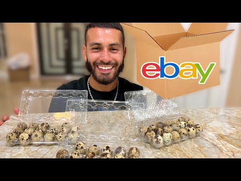 , title : 'WE BOUGHT QUAIL EGGS OFF EBAY! Will They Hatch?!'