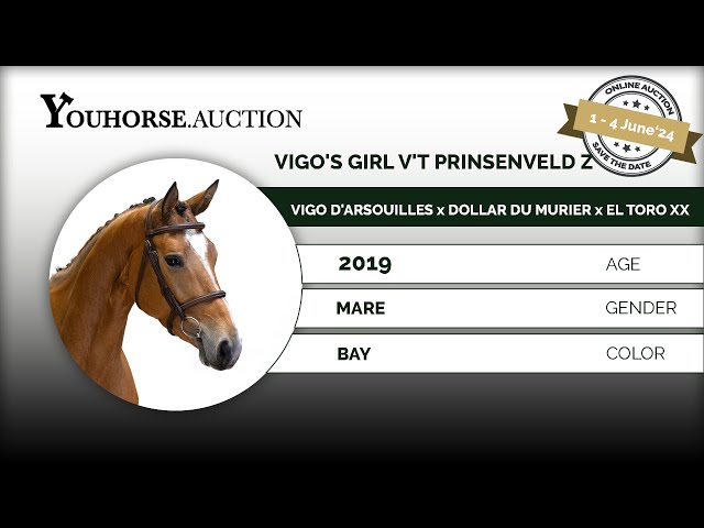 Vigo's Girl v't Prinsenveld Z