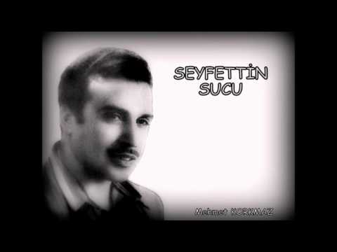 SEYFETTİN SUCU-KARŞIDA OTURANLAR
