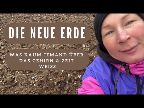 Der körperliche Urzustand: Wie dein Nervensystem & Körper sich JETZT neu ausrichteten 🔥