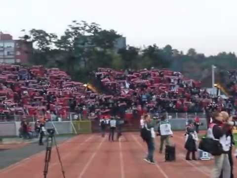 DVTK vs. FTC 15/16 - Diósgyőri sálerdő