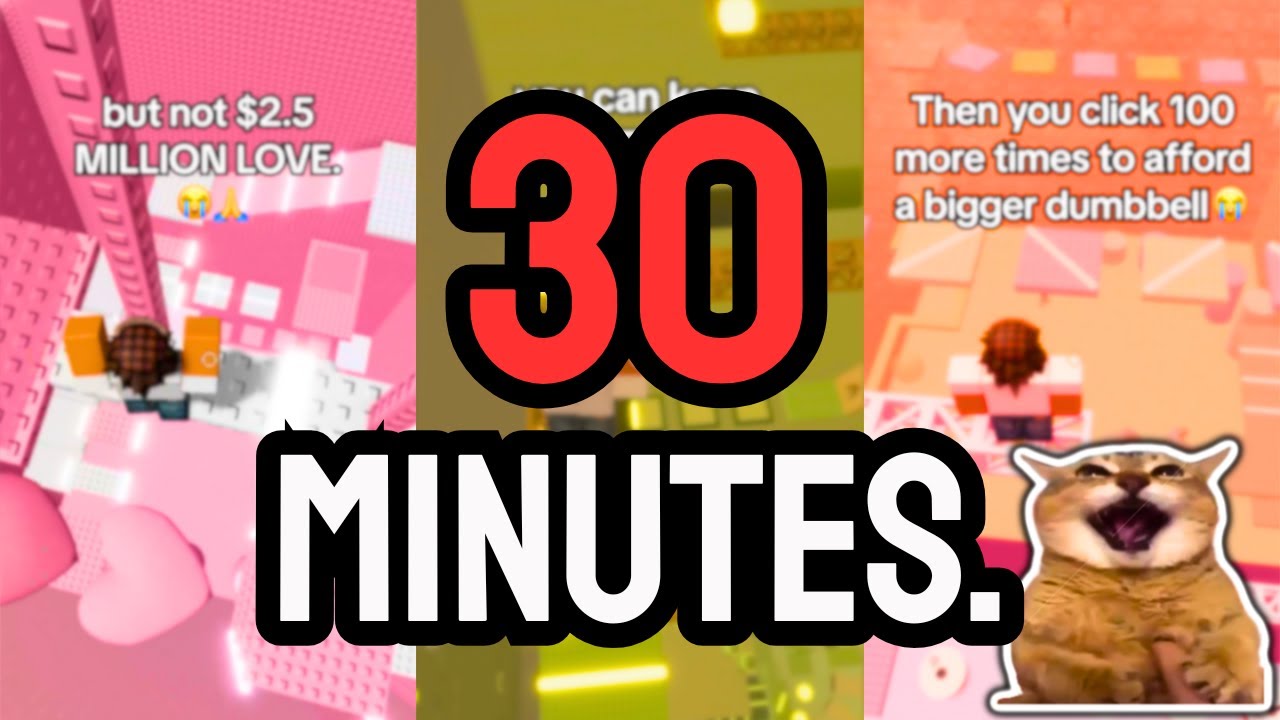 30 MINUTES of ROBLOX RANTS | KittyRants