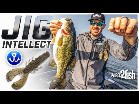 Jacob Wheeler's Top Jig Fishing Secrets Revealed