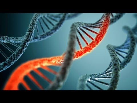 ►Manipulation der Gene Das Doping der Zukunft (HD Deutsch)
