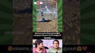 😍அழகான கோழிக்குஞ்சுகள்🤗👌 #trending #viral #shortsfeed #trendingshorts #viralshorts #pets #chicken