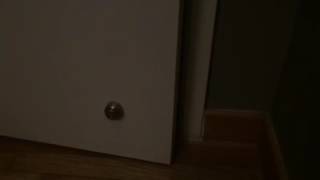 Open the door for me please