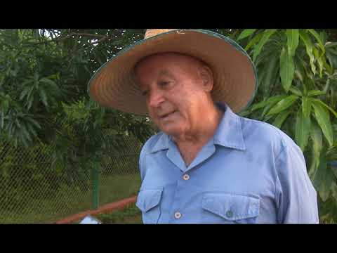 Recorre Presidente puntos económicos clave en Mayabeque