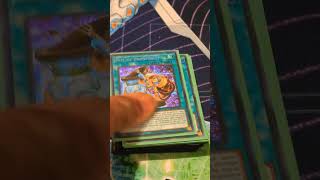 Yu-Gi-Oh Blue-Eyes Primite Deck Profile May 2026 #yugioh #yugiohtcg #setokaiba #konami #shonenjump