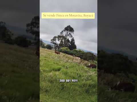 Venta de Finca en #Motavita #boyacá #fincaenventa #colombia 300 881 9511