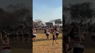 Download lagu Shembe Nyazi LweZulu mp3