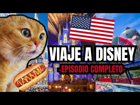 VIAJE A DISNEY , episodio completo (meme de gatos)