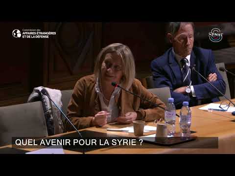 Audition du journaliste Wassim Nasr sur la situation en Syrie après la chute du régime Al-Assad