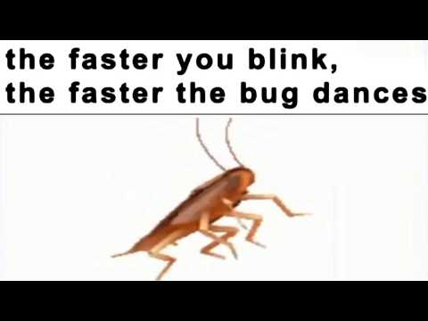 Funny Videos