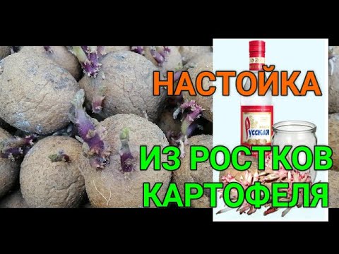 ☝☝ЛЕЧЕБНАЯ НАСТОЙКА ОТ СУСТАВНОЙ БОЛИ ИЗ ПРОРОСТКОВ КАРТОФЕЛЯ