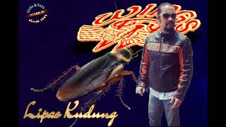 Download lagu 𝖑𝖎𝖕𝖆𝖘 𝖐𝖚𝖉𝖚𝖓𝖌 (lirik lagu)wings mp3