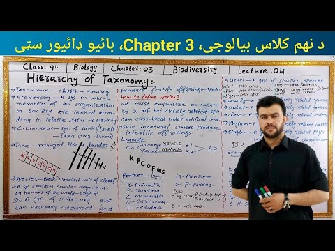 Hierarchy of Taxonomy Class 9 Biology Chapter 3 Biodiversity Lec. 4 | Taxonomic Herarchy Pashto