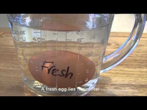 How to tell if an egg is fresh