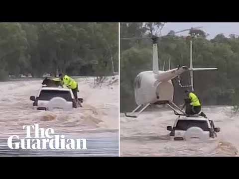 NT floods: dog rescued by helicopter from raging flood waters in Australia