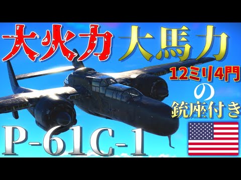 ノースロップ P-61 ブラック ウィドウ - 定義