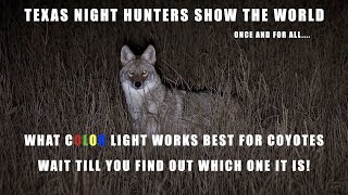 What COLOR works best for night hunting? You