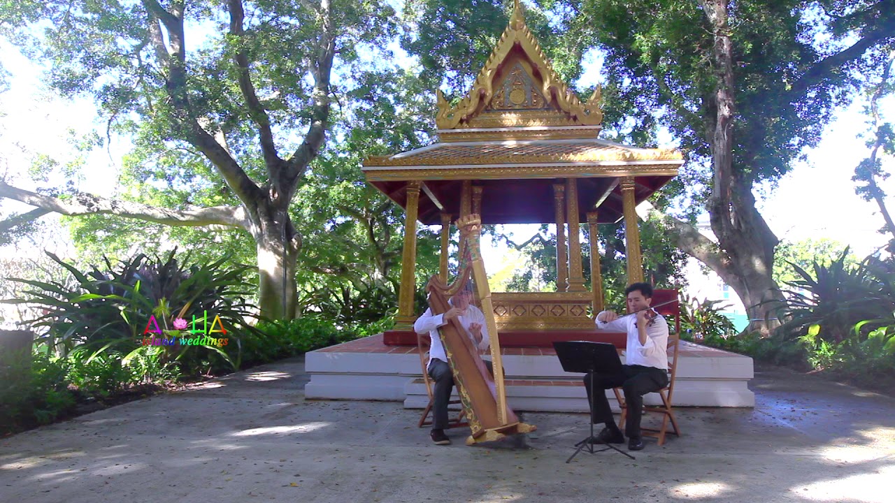 Promotional video thumbnail 2 for Paul Harpist