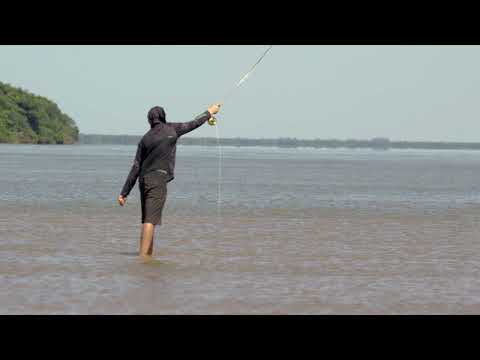 Paraná River Sight Fly Fishing in Argentina