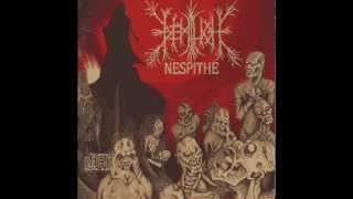 Demilich - The Putrefying Road in the Nineteenth Extremity 8-Bit