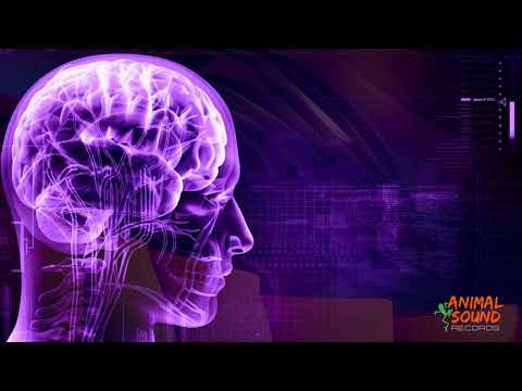 Damian Sarandeses - Access to your Mind (original mix) #progressivepsytrance #psytrance