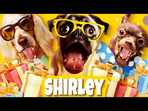 Crazy Dogs Wish SHIRLEY a Happy Birthday - Join the Fun! 🥳